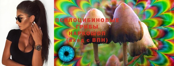 ешки Верхний Тагил